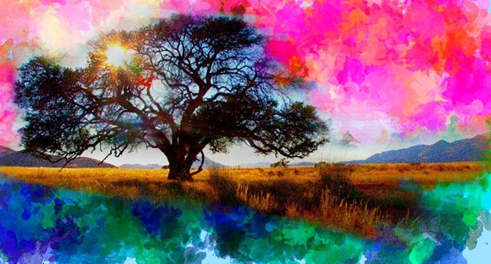 photoViva app draw on picture of a tree