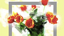 photoViva App draw on picture of flowers