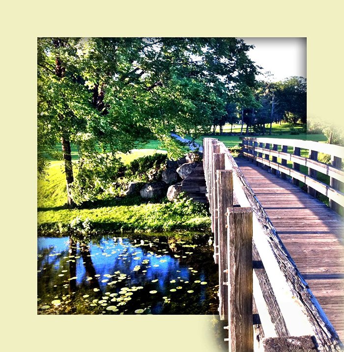 photoViva app draw on pictures a bridge over a river