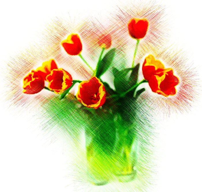 photoViva app draw on pictures flowers