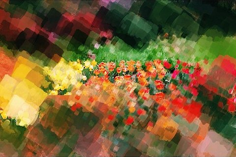 photoViva app draw on picture of red flowers